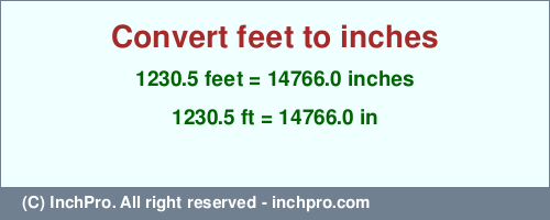 1230.5 feet to inches is equal to 14766.0 (in) Result converting 1230.5 feet to inches = 14766.0 inches
