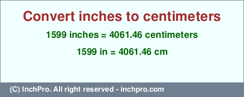 Result converting 1599 inches to cm = 4061.46 centimeters